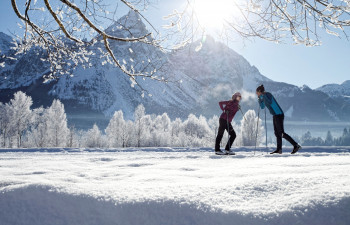 Sonnenlanglauf auf der Rundloipe im Moos