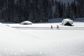 Die Loipe Ehrwald B4 führt Langläufer durch eine traumhafte Winterlandschaft.