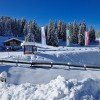 Langlaufen am Monte Pana