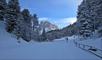 Halsl Loipe mit Blick zum Peitlerkofel