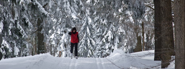 Langlaufen in Waldkirchens verschneiten Wäldern