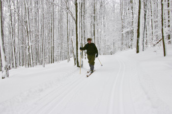 White Grass Ski Trails 2010