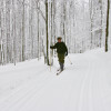White Grass Ski Trails 2010