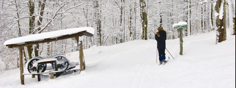 White Grass Ski Trails 2010