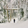 White Grass Ski Trails 2010