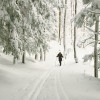White Grass Ski Trails 2010