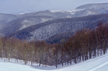Canaan Valley Area 2010