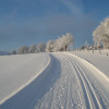In Altastenberg gibt es drei Langlaufloipen.