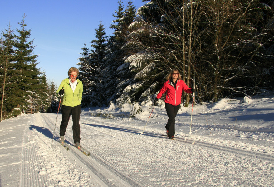 Am Bremberg bei Winterberg hast du fünf Loipen zur Auswahl.
