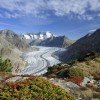 Aletsch Arena