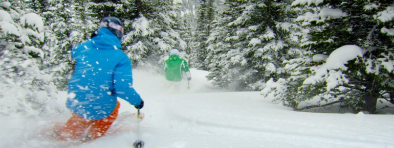 Treeskiing in Alberta